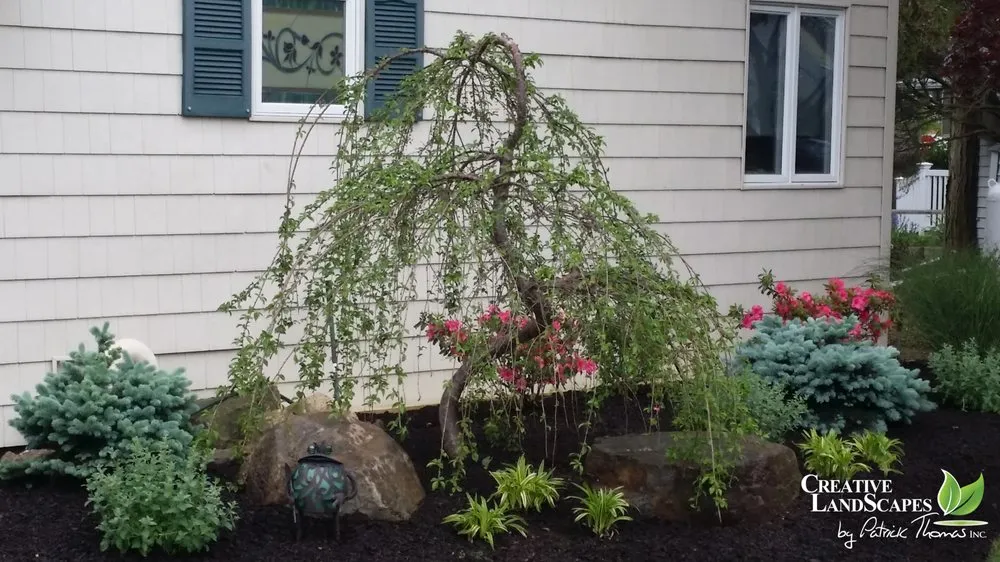 Professional yard maintenance in Wantagh, NY by Creative Landscapes by Patrick Thomas