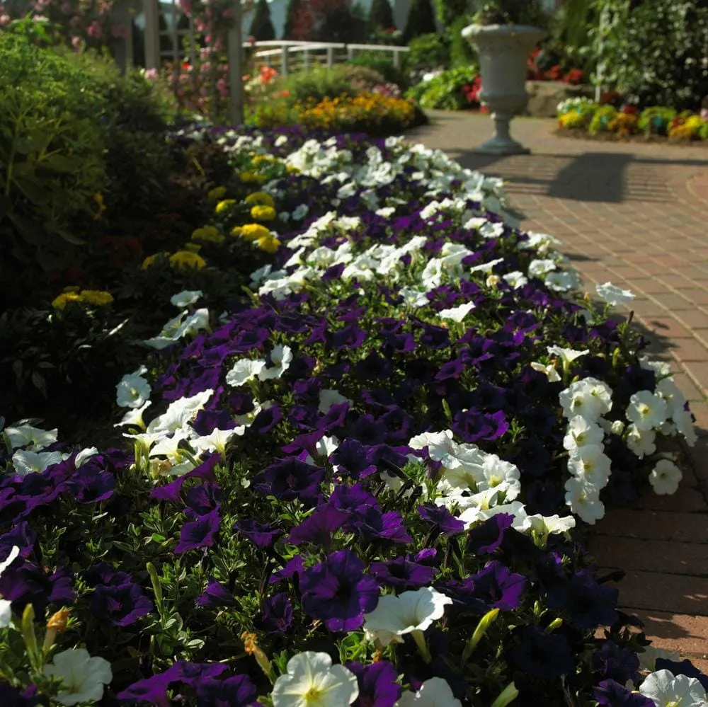 Local lawn mowing service in Hayward, CA by Creative Landscapes