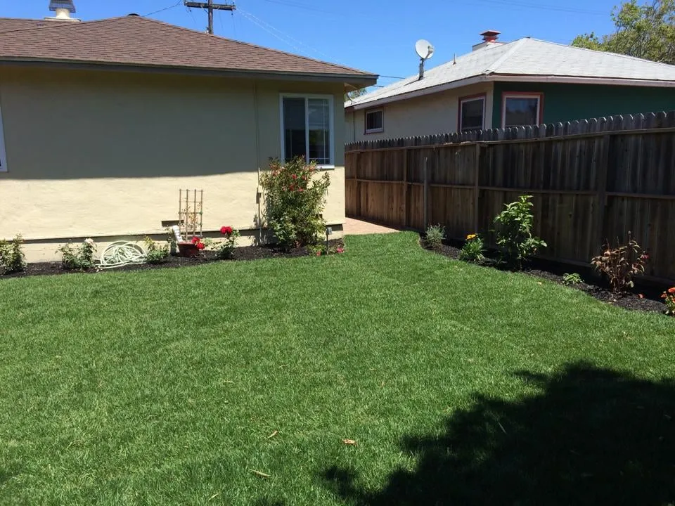 Expert lawn care service for outdoor upgrades in Hayward, CA by Creative Landscapes