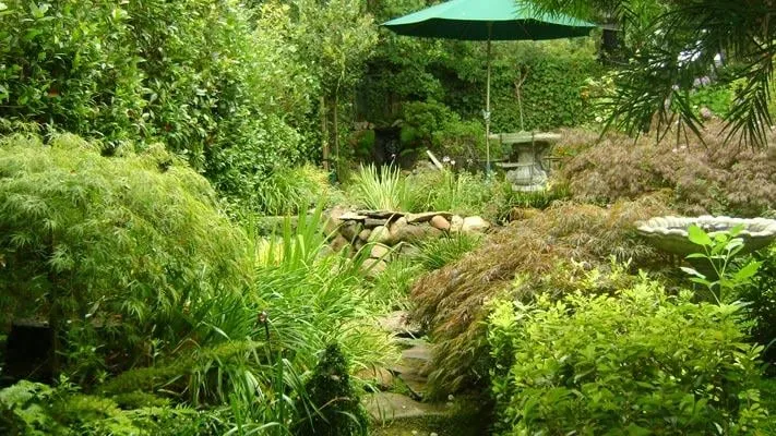 Affordable residential landscaping experts serving Hayward, CA - Creative Landscapes