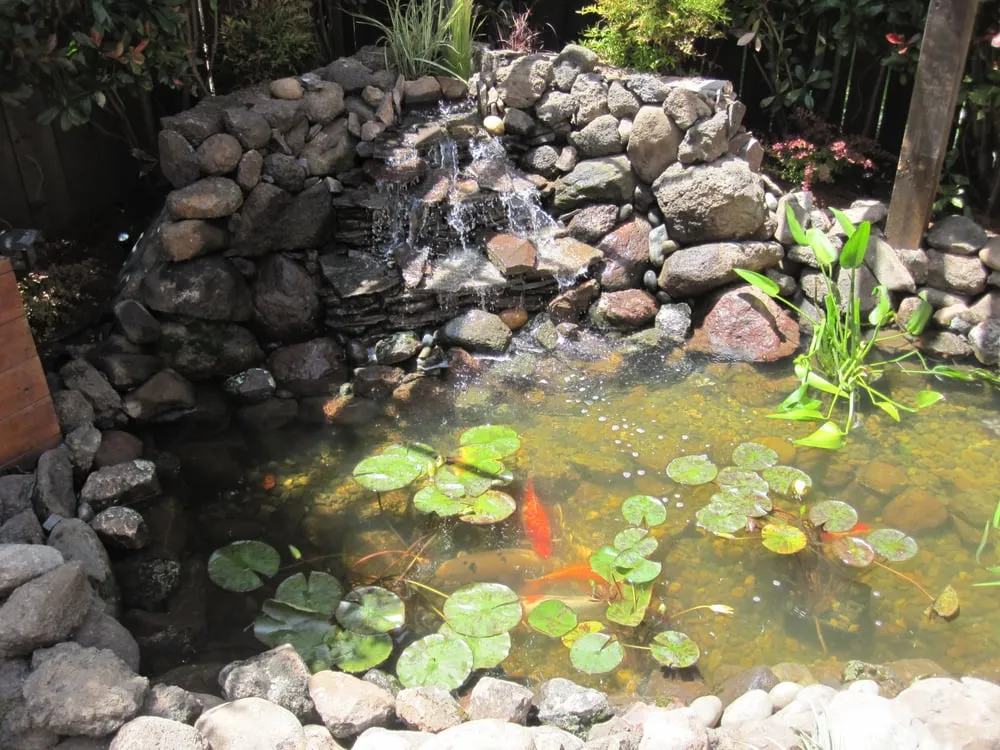 Local landscape installation for beautiful yards in Hayward, CA by Creative Landscapes