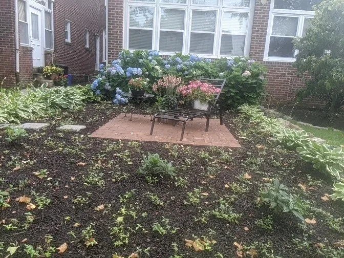 Custom garden landscaping for beautiful yards across Perkasie, PA - Creative Landscapes