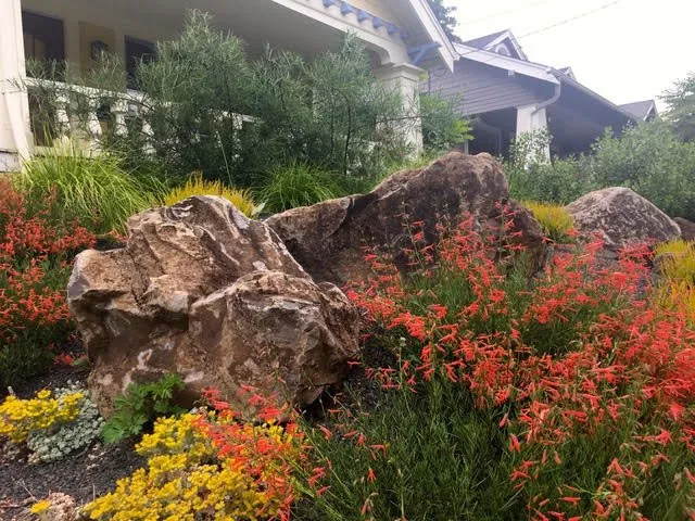 Top-rated yard maintenance near you in Portland, OR by Creative Landscapes