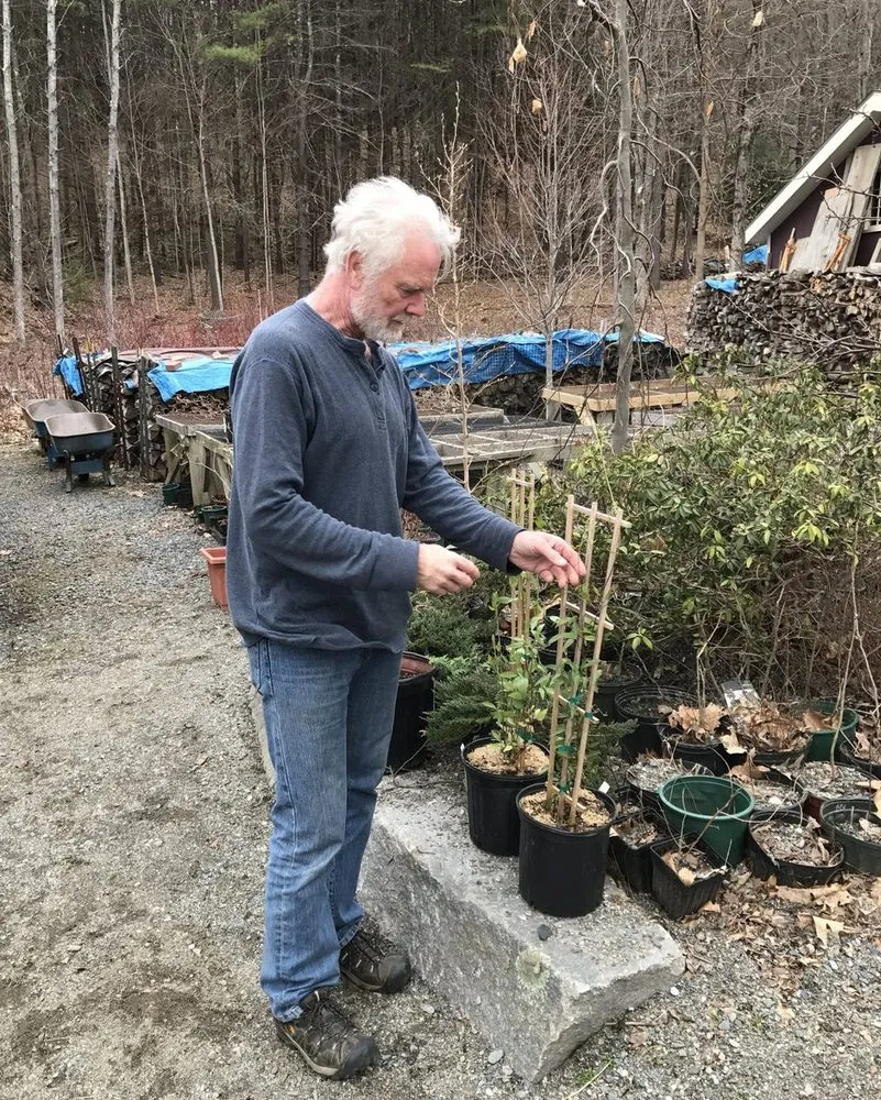 Affordable lawn mowing service in Putney, VT by Creative Landscapes