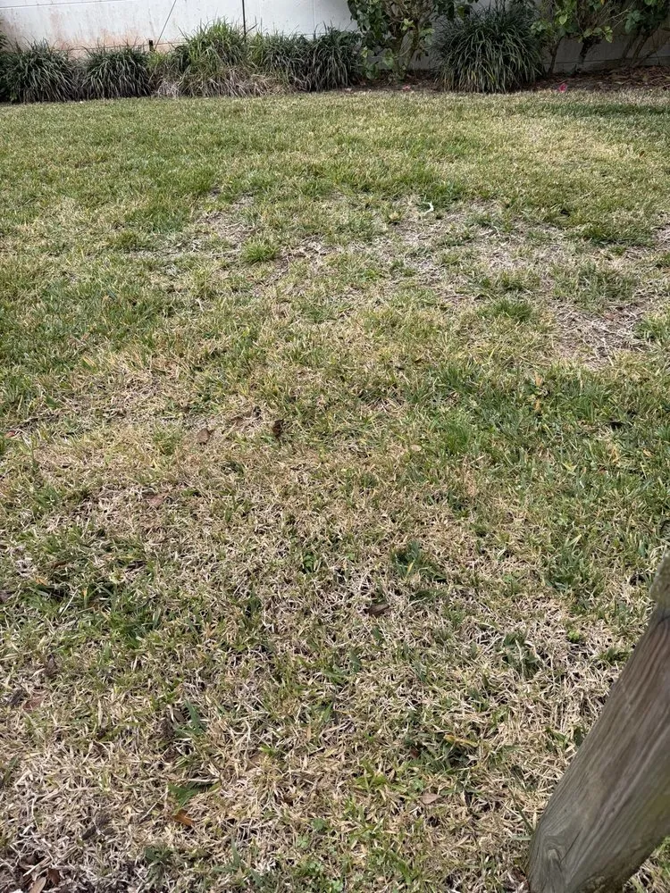 Top-rated yard cleanup service in Vero Beach, FL - Creative Landscaping & Lawn Maintenance