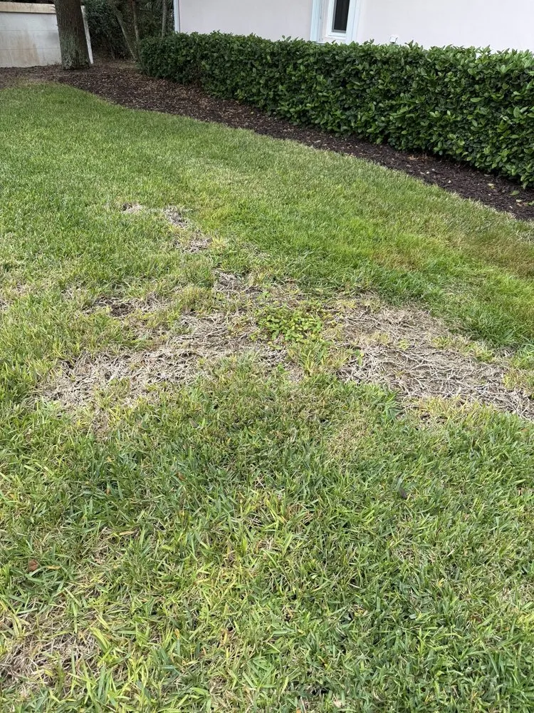 Trusted lawn care service in Vero Beach, FL by Creative Landscaping & Lawn Maintenance