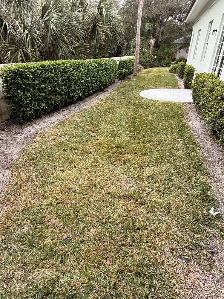 Expert landscape installation near you in Vero Beach, FL by Creative Landscaping & Lawn Maintenance