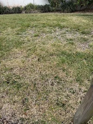 Creative Landscaping & Lawn Maintenance Logo