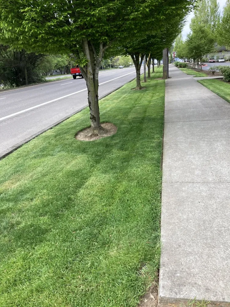 Reliable landscaping services for residential properties across Albany, OR - Creative Landscaping