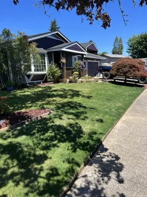 Creative Landscaping