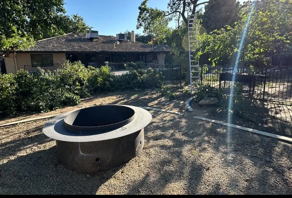 Top-rated lawn care service near you across Buttonwillow, CA - Creative Landscaping