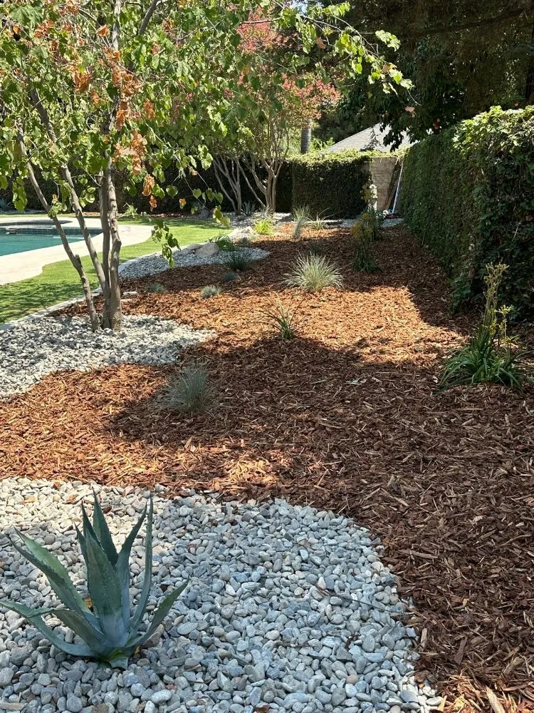 Reliable lawn care service in Buttonwillow, CA by Creative Landscaping