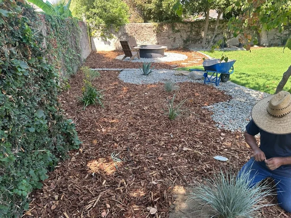Reliable lawn mowing service in Buttonwillow, CA by Creative Landscaping