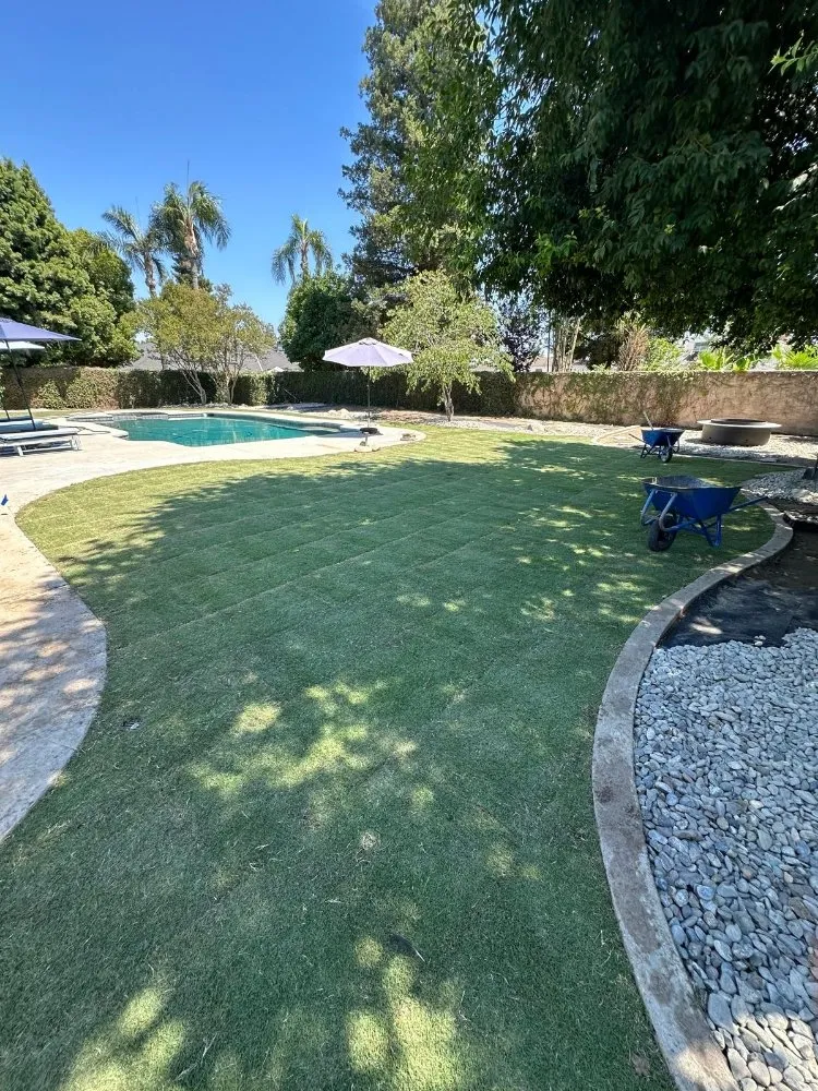 Affordable yard cleanup service near you in Buttonwillow, CA by Creative Landscaping