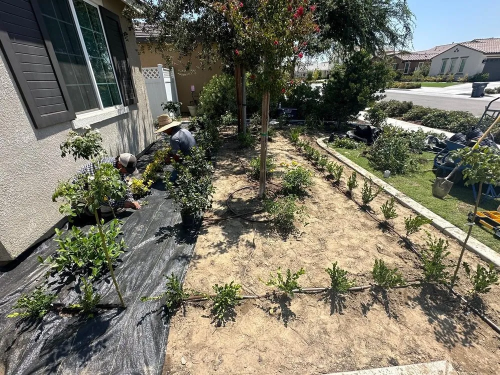 Trusted lawn mowing service in Buttonwillow, CA by Creative Landscaping