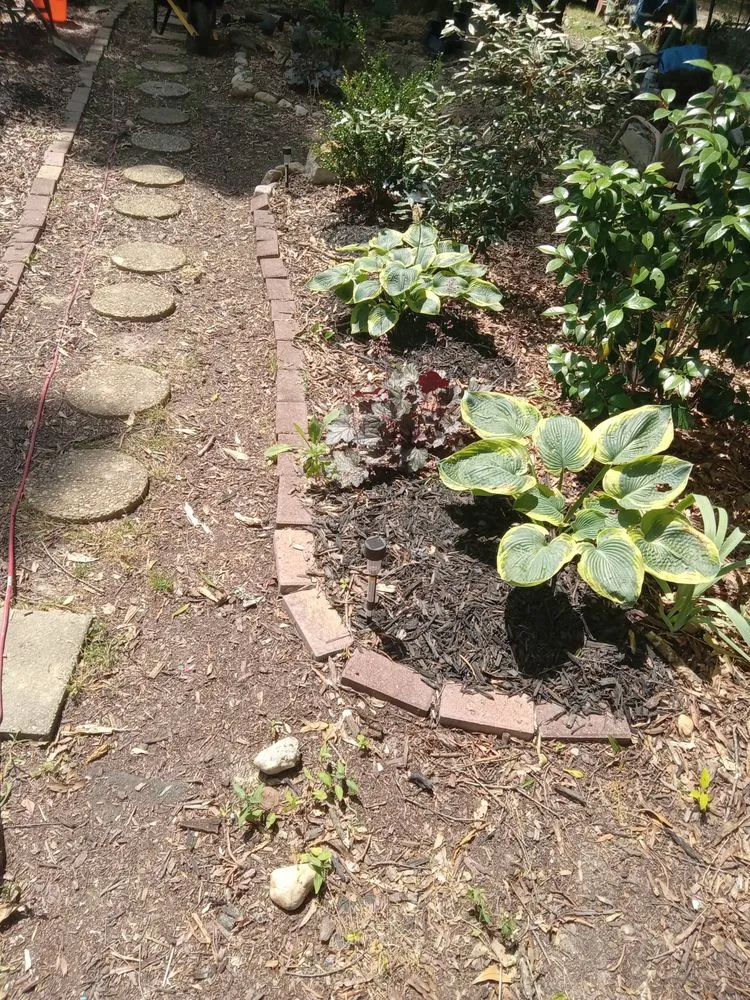 Professional lawn mowing service in Cedartown, GA - Creative Landscaping