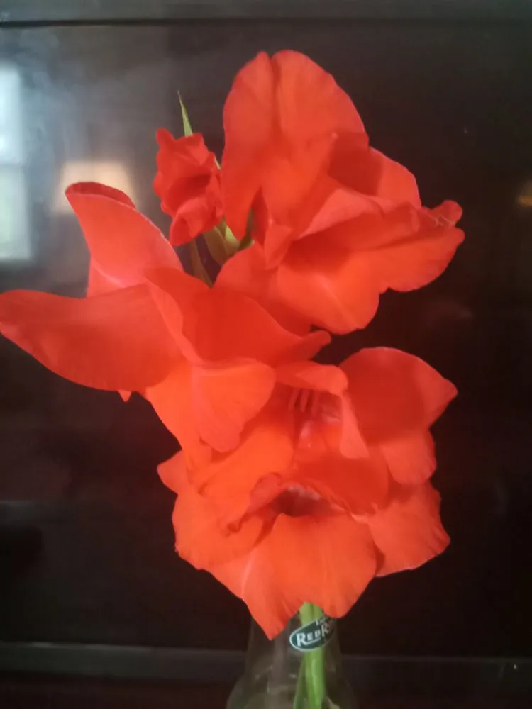 Expert lawn mowing service in Cedartown, GA by Creative Landscaping