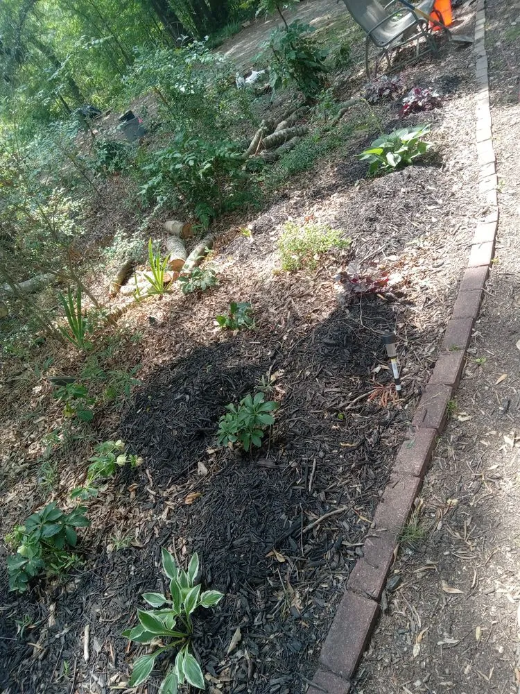 Top-rated yard cleanup service for homes in Cedartown, GA by Creative Landscaping