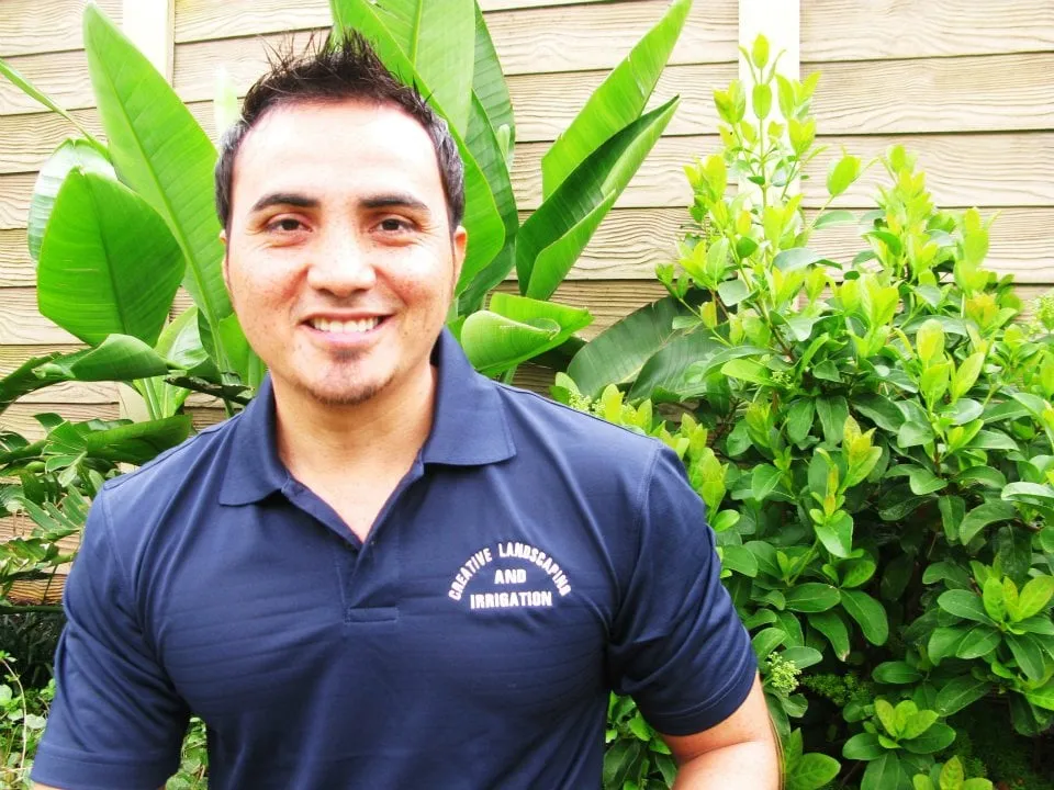 Local garden landscaping in Sugar Land, TX - Creative Landscaping N Irrigation