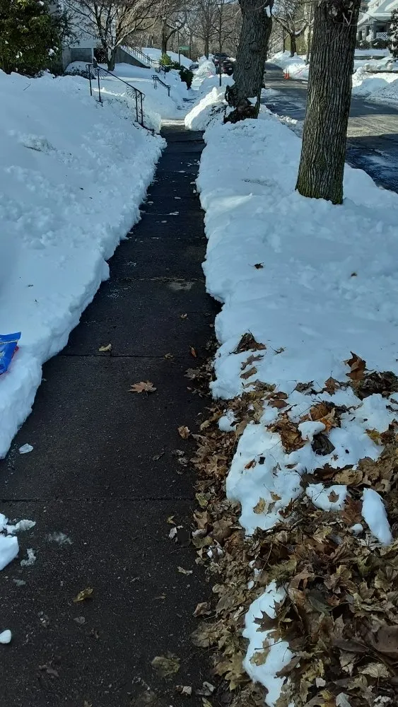 Reliable yard maintenance in New Bedford, MA by CREATIVE LANDSCAPING