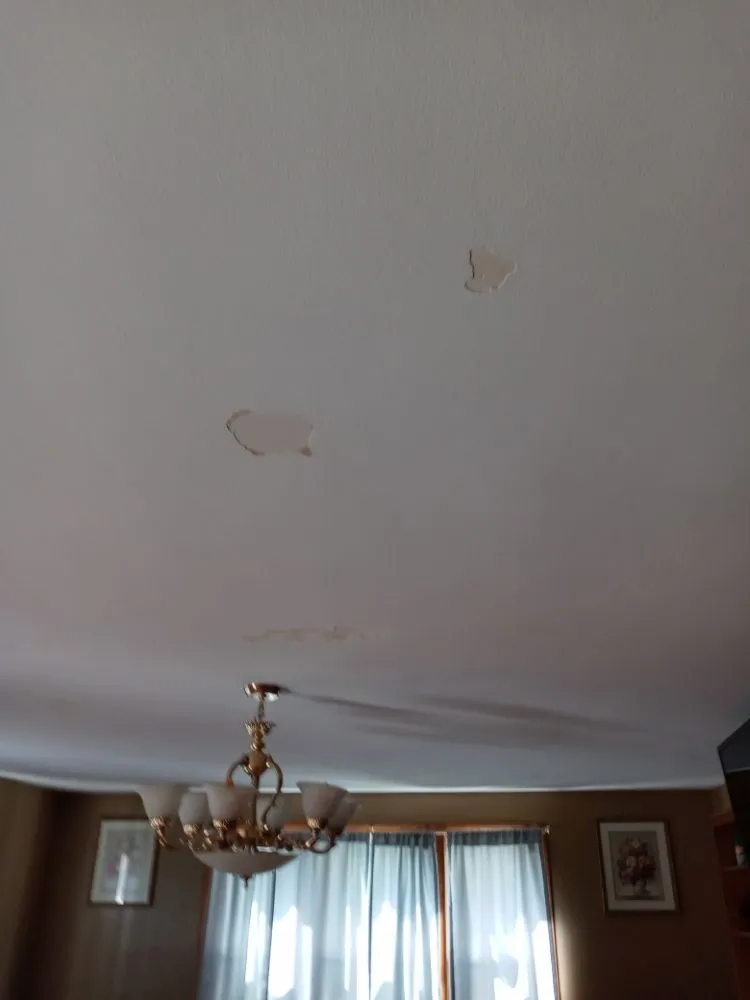 Professional yard maintenance experts serving New Bedford, MA - CREATIVE LANDSCAPING