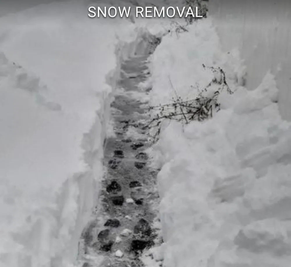 Reliable landscape installation in New Bedford, MA - CREATIVE LANDSCAPING