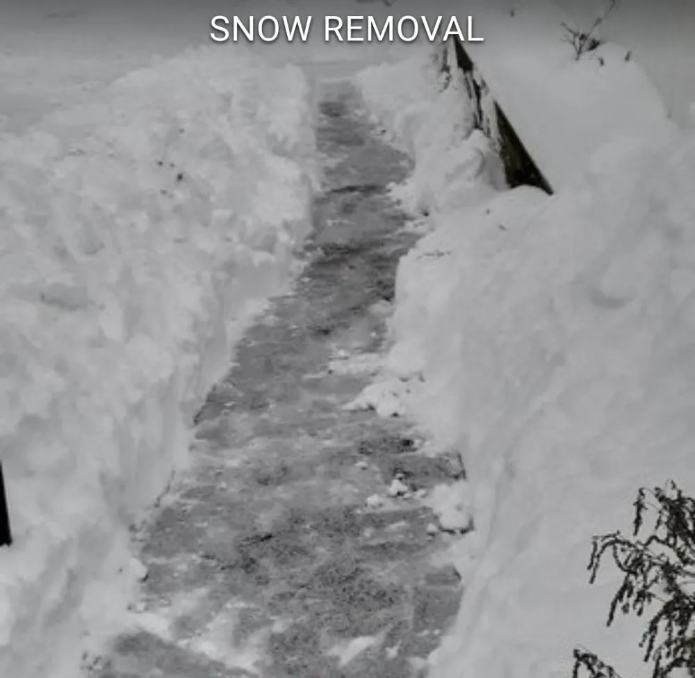 Reliable landscape design experts serving New Bedford, MA - CREATIVE LANDSCAPING