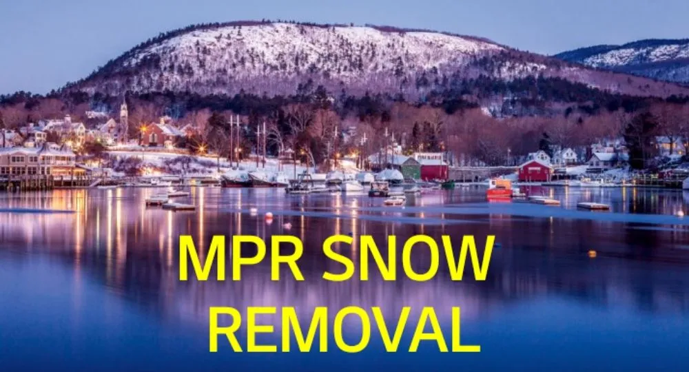 Affordable yard cleanup service near you across New Bedford, MA - CREATIVE LANDSCAPING