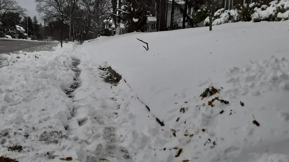 Expert landscape installation near you across New Bedford, MA - CREATIVE LANDSCAPING