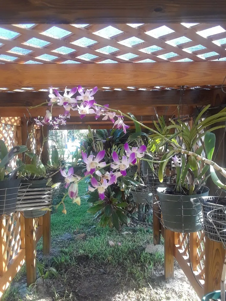 Affordable landscape installation near you in Fort Myers Beach, FL by Creative Landscaping of SWFL