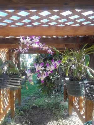 Creative Landscaping of SWFL