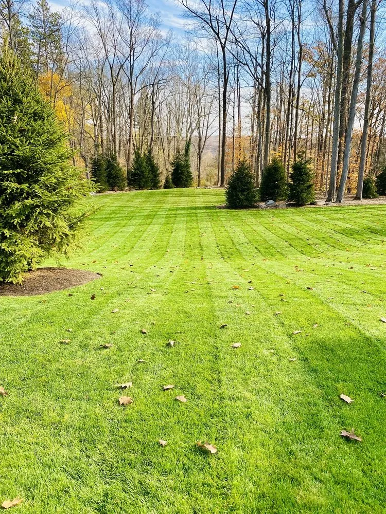 Reliable yard maintenance in Streetsboro, OH by Creative Landscaping Specialists