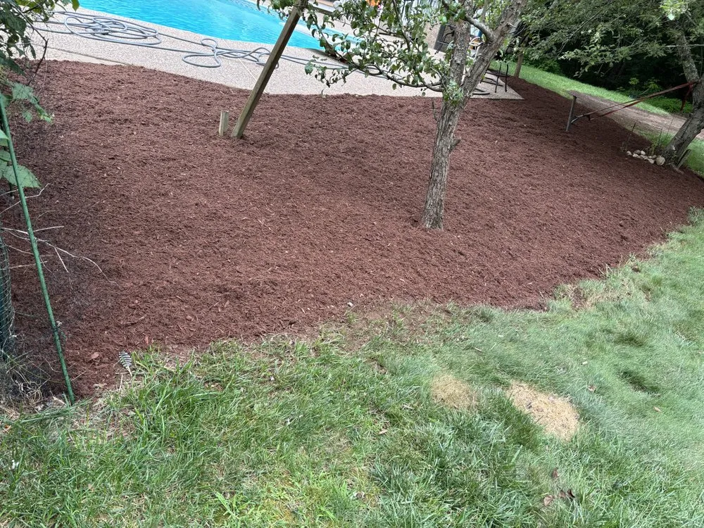 Reliable lawn care service in Northbridge, MA by Creative Lawns By JT
