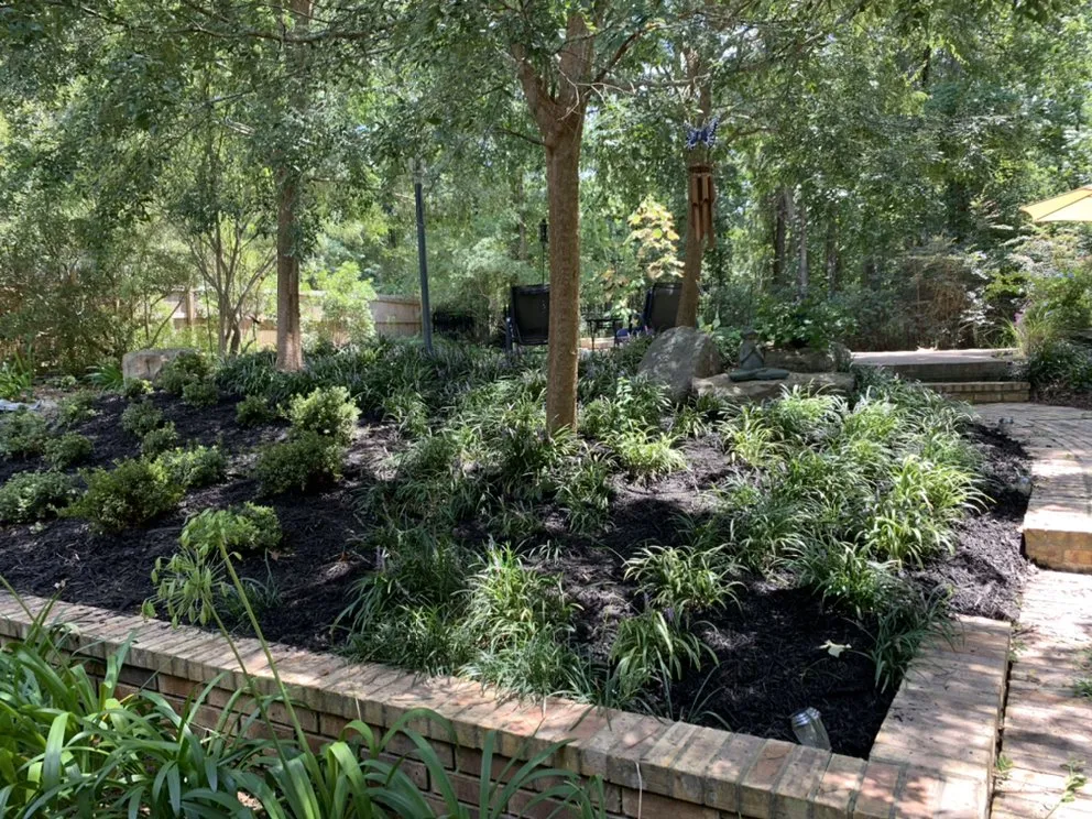 Top-rated yard cleanup service in West Monroe, LA - Creative Lawns