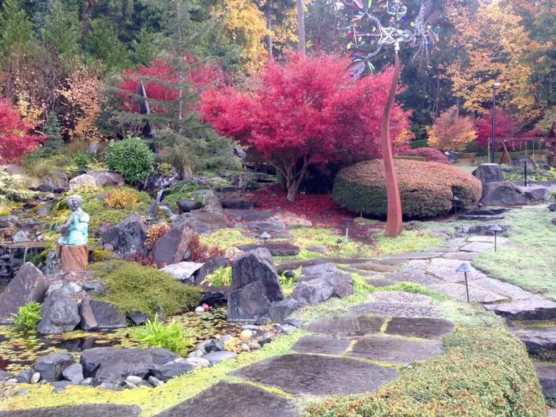 Expert yard cleanup service for outdoor upgrades across Gig Harbor, WA - Creative Living Landscape Design
