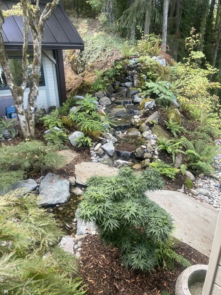 Affordable yard cleanup service for homes in Gig Harbor, WA by Creative Living Landscape Design