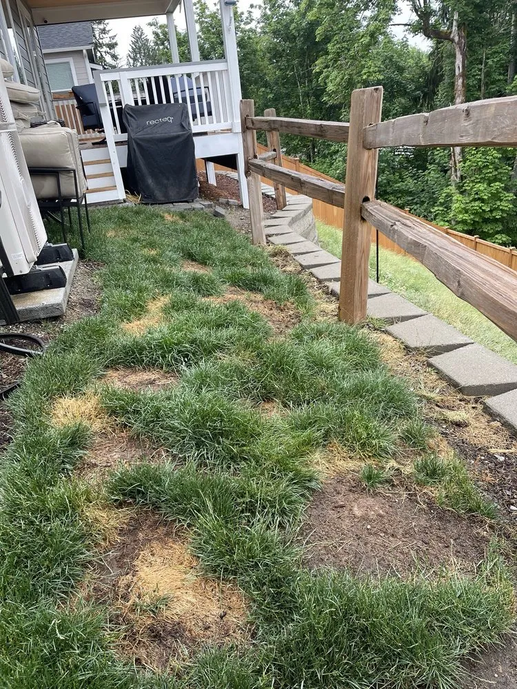 Local yard maintenance in Gig Harbor, WA by Creative Living Landscape Design