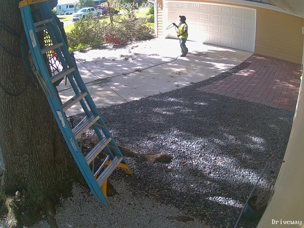 Trusted landscaping services in Pompano Beach, FL by Creative Measures Landscape & Irrigation Services