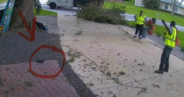 Custom garden landscaping for year-round maintenance in Pompano Beach, FL by Creative Measures Landscape & Irrigation Services