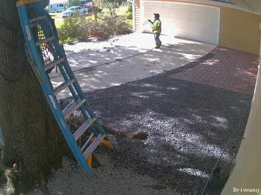 Creative Measures Landscape & Irrigation Services Logo