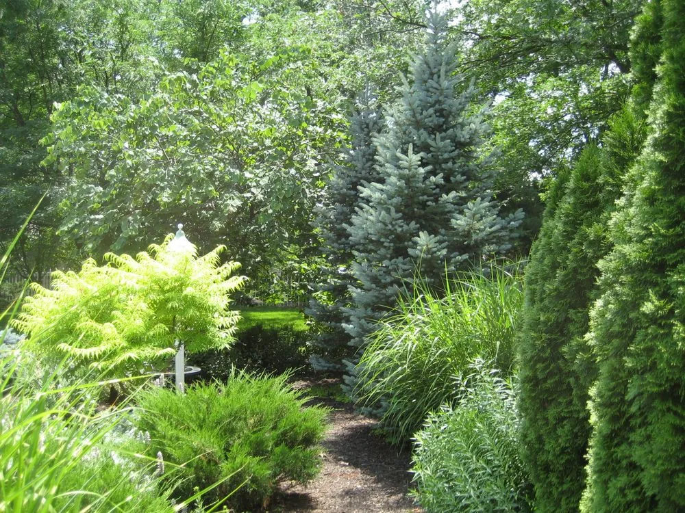 Professional garden landscaping experts serving Prairie Village, KS - Creative Outdoor Spaces