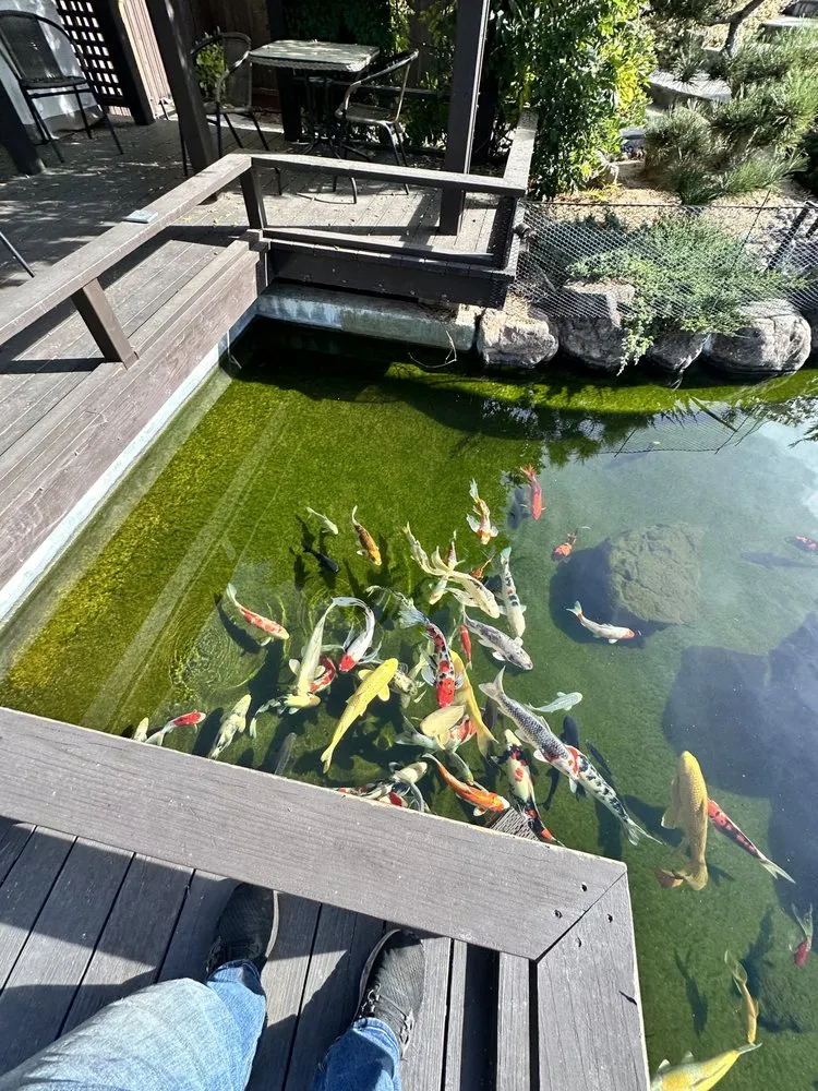 Reliable landscaping services near you across San Bruno, CA - Creative Ponds and Gardens