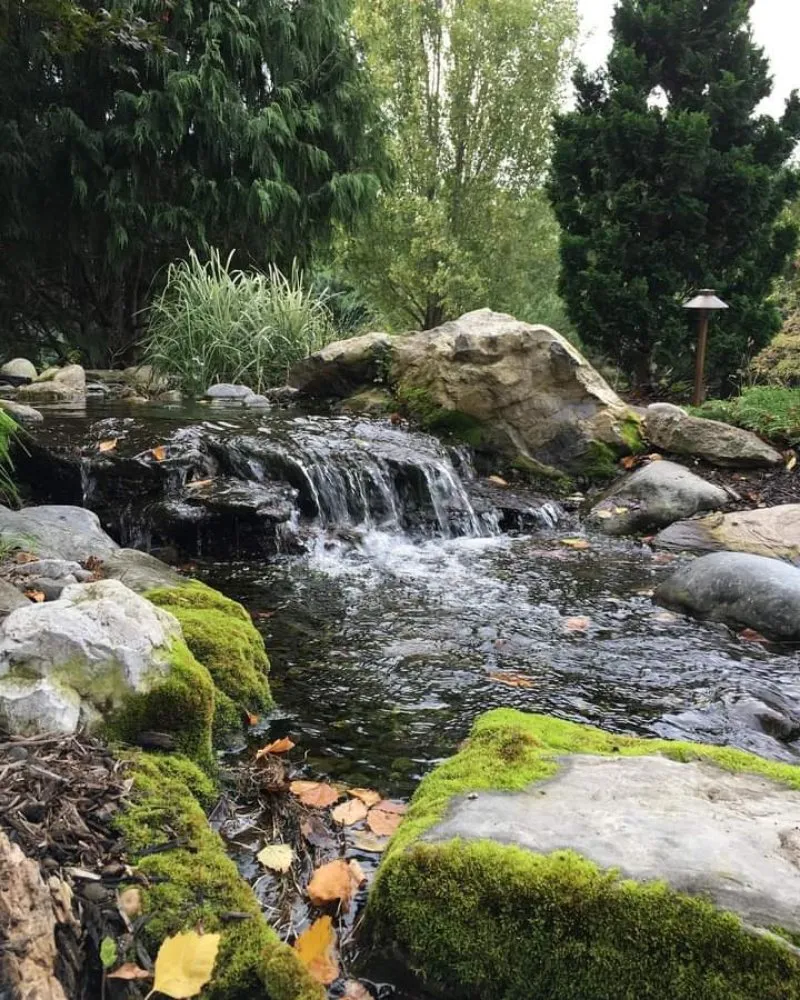 Reliable lawn care service in Tioga, TX - Creative Scapes Landscape & Design