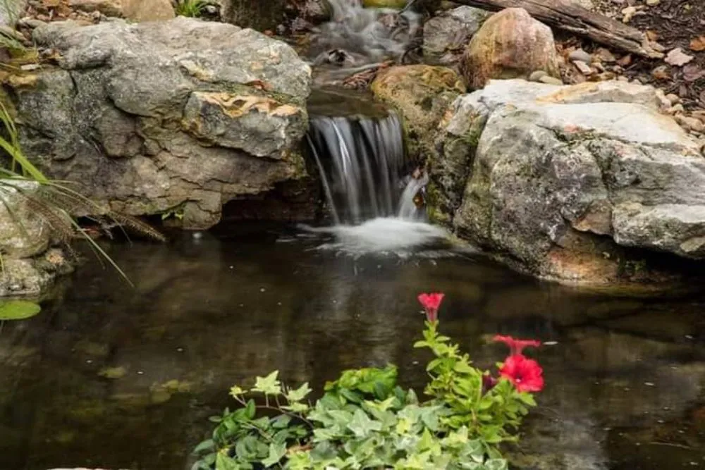 Trusted outdoor landscaping for outdoor upgrades in Tioga, TX by Creative Scapes Landscape & Design