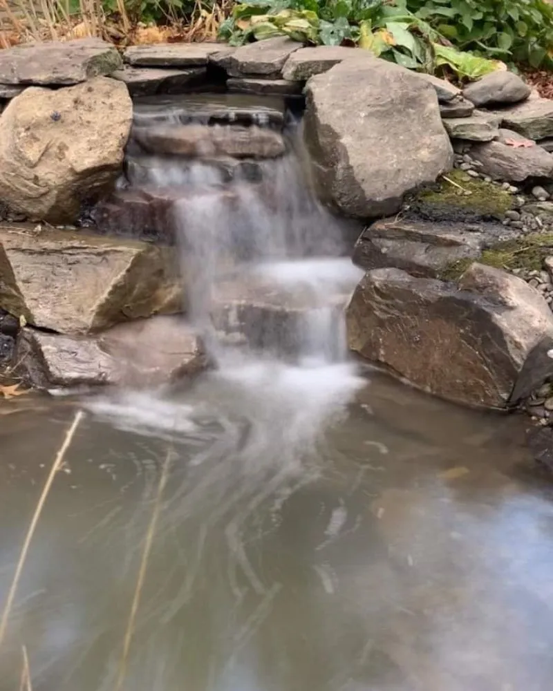 Professional garden landscaping experts serving Tioga, TX - Creative Scapes Landscape & Design