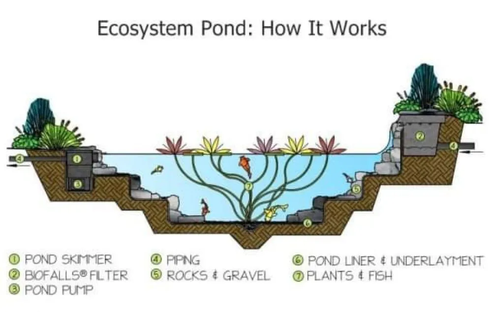 Expert residential landscaping near you in Tioga, TX by Creative Scapes Landscape & Design