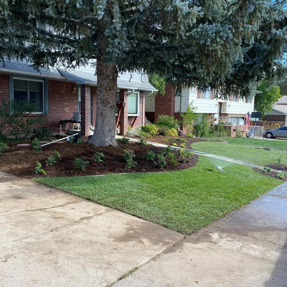 Local landscape installation for residential properties in Littleton, CO by Creative Scapes