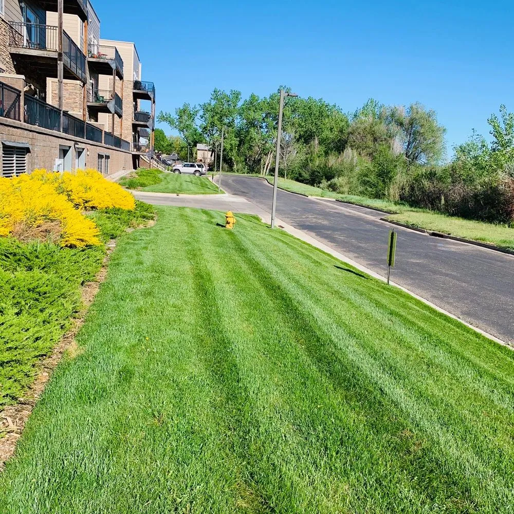 Affordable landscaping services for year-round maintenance in Littleton, CO by Creative Scapes