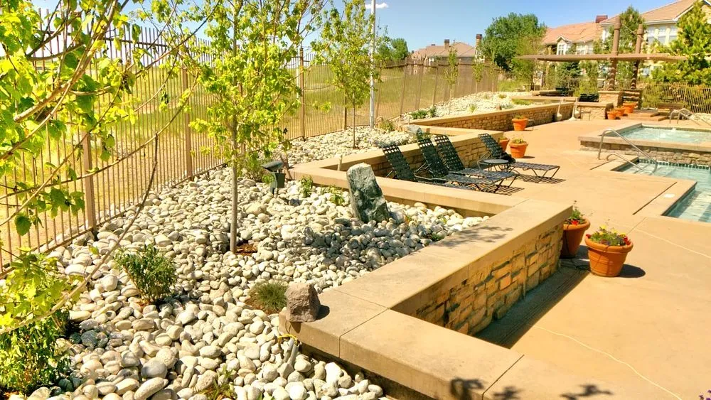 Expert yard maintenance experts serving Littleton, CO - Creative Scapes