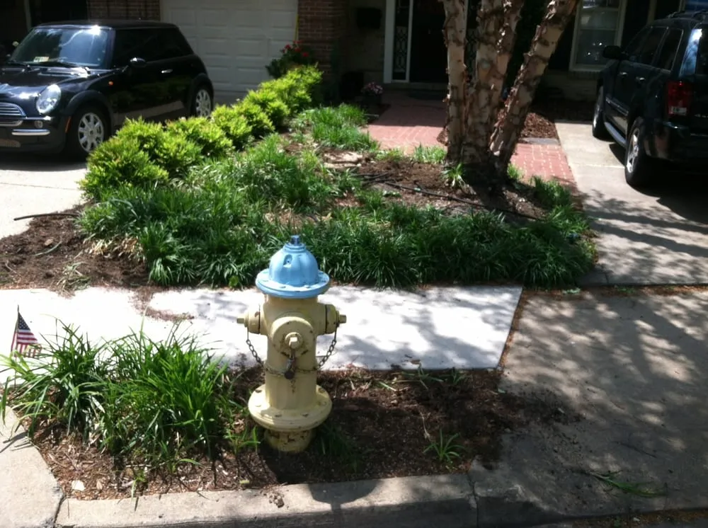 Local lawn mowing service in Vienna, VA by Creative Stonescapes